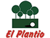 EL PLANTIO